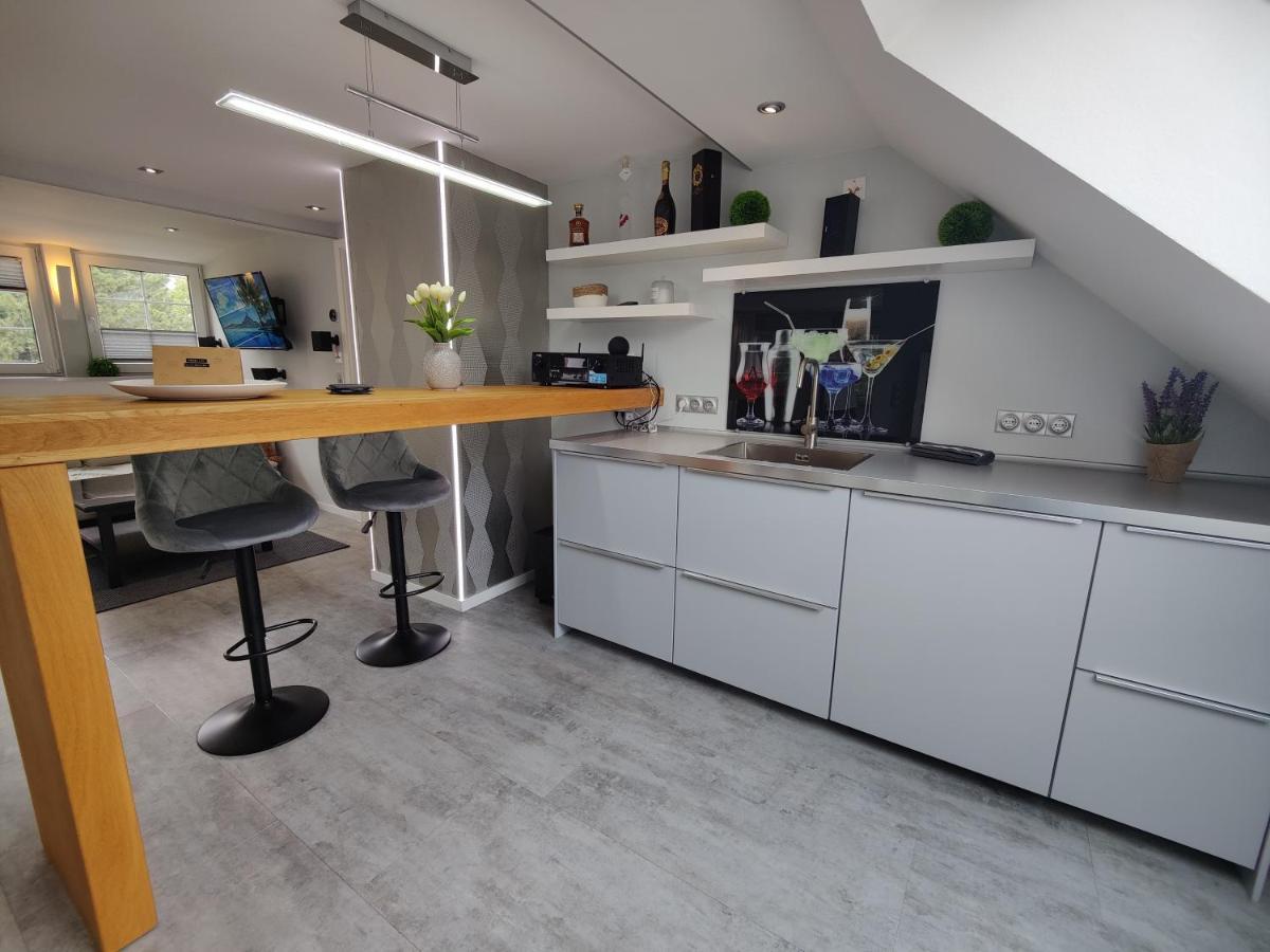 Ferienhaus Villa Adelsberg Mit Dachterrasse In Zentraler Lage Fuer Bis Zu 10 Personen Хемніц Екстер'єр фото