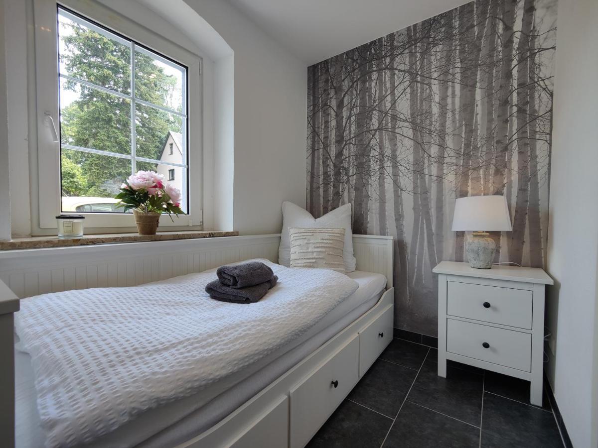 Ferienhaus Villa Adelsberg Mit Dachterrasse In Zentraler Lage Fuer Bis Zu 10 Personen Хемніц Екстер'єр фото