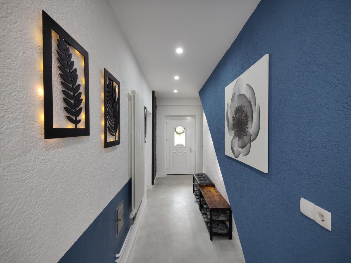 Ferienhaus Villa Adelsberg Mit Dachterrasse In Zentraler Lage Fuer Bis Zu 10 Personen Хемніц Екстер'єр фото